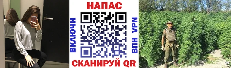 Где можно купить наркотики Завитинск ГАШ  Cocaine  АМФ  Канабис  Меф мяу мяу 