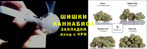 ПСИЛОЦИБИНОВЫЕ ГРИБЫ Арсеньев