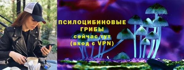 мяу мяу мука Алексин